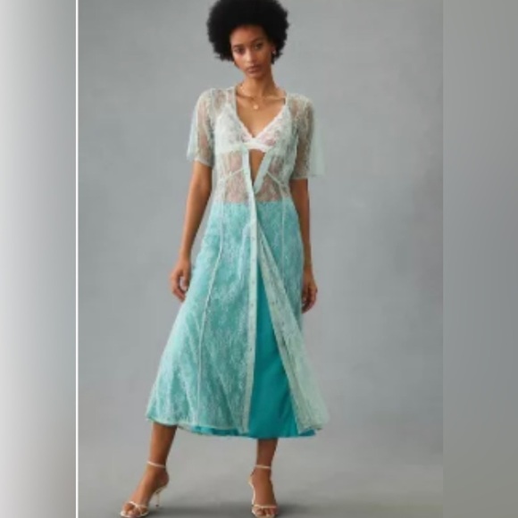 By Anthropologie Sheer Lace Buttondown Midi Dress in Mint - Picture 3 of 7